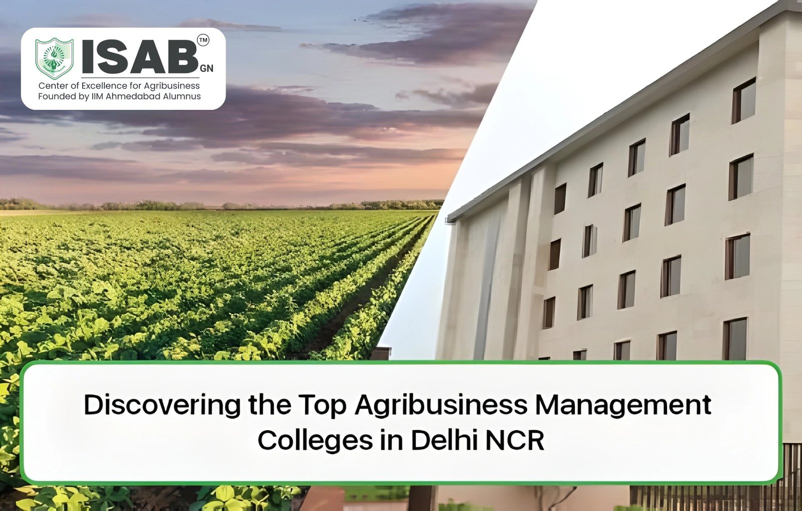 discovering-the-top-agribusiness-management-colleges-in-delhi-ncr